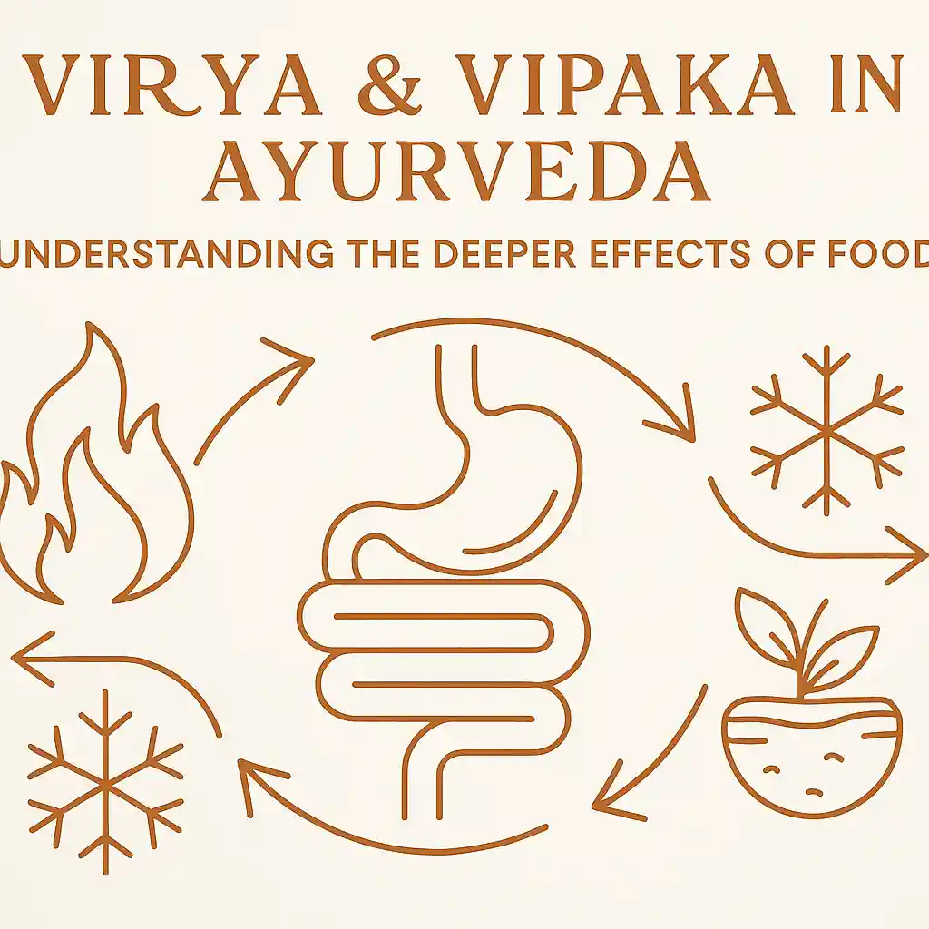 Virya and Vipaka in Ayurveda - Understanding the Deeper Effects of Food - illustrated guide showing transformation symbols representing hot/cold potency and digestive pathways